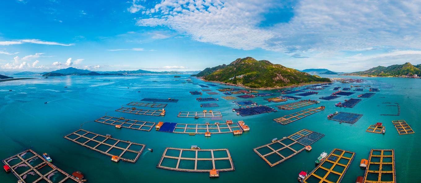 宁德国投：深化金融服务创新 贡献国有担保力量