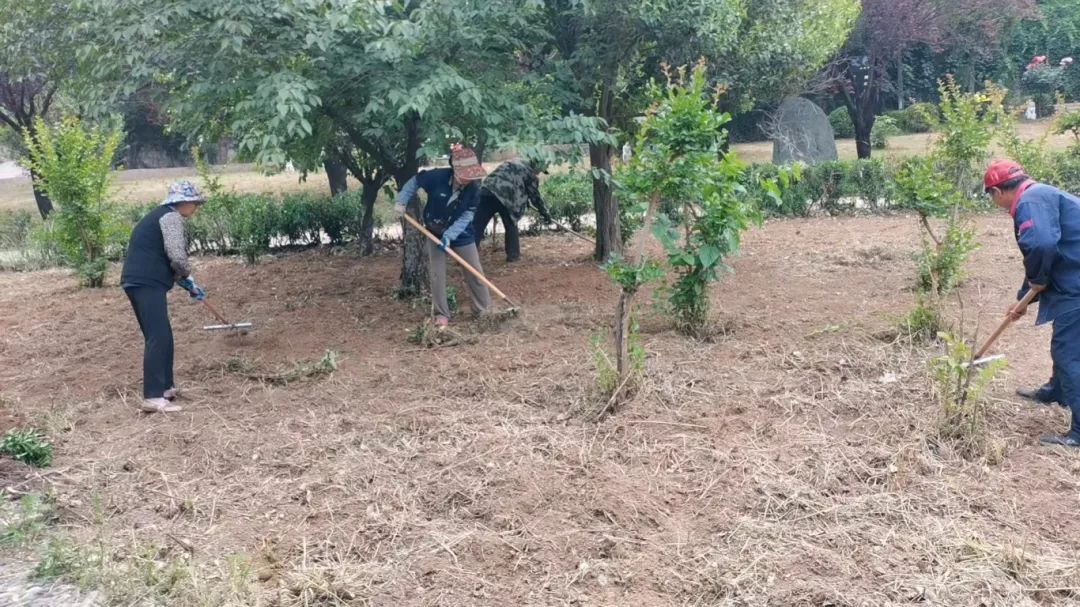 【H动画资讯
】开展陵园环境整治 营造绿色祭扫环境