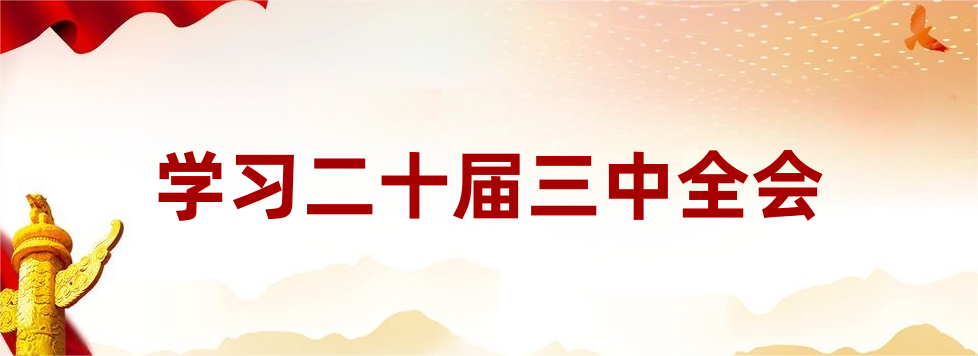 学习二十届三中全会